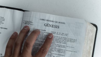 ¿Cuál es la Romanos 8 28